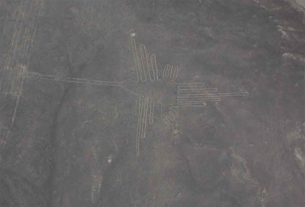 51 - Peru - Nazca, lineas, colibri